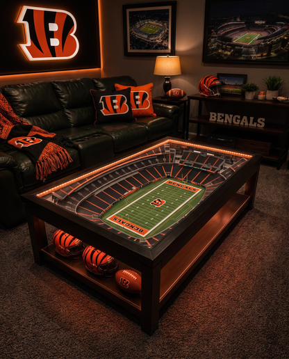 NFL Stadium Table — Cincinnati Bengals